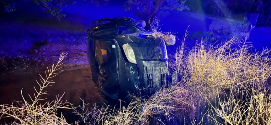 Erzincan'da hafif ticari araç yabani domuza çarparak devrildi: 7 yaralı