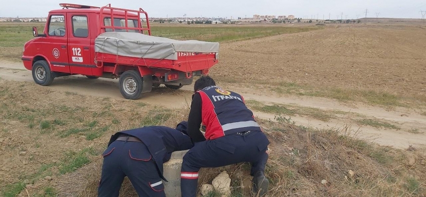 Su kuyusuna düşen köpek kurtarıldı