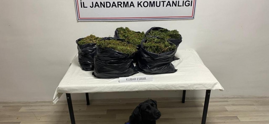 Samsun'da 15 kilo 160 gram esrar ele geçirildi