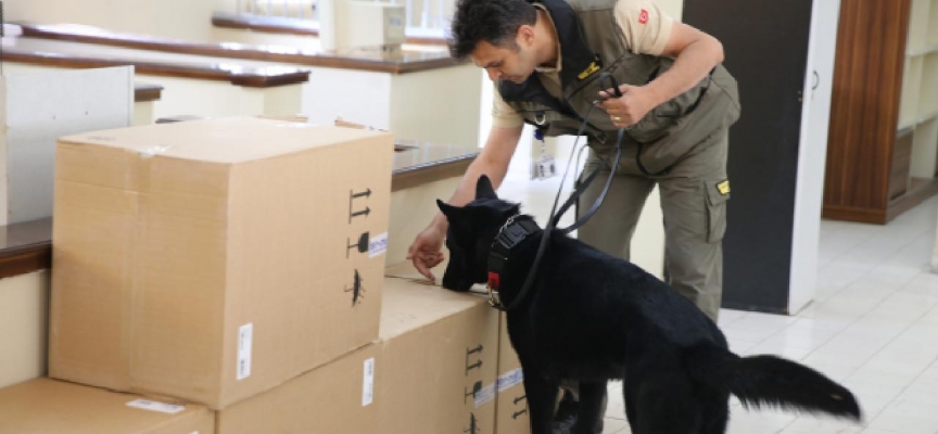 En hassas burunlu köpekler Sakarya'da belirleniyor