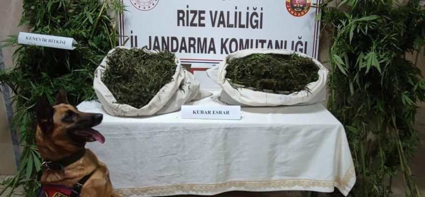 Rize'de 22 kilogram esrar ele geçirildi