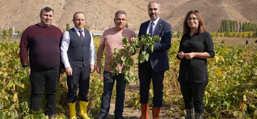 Bayburt'ta ekilen yeni tür patatesin hasadı yapıldı