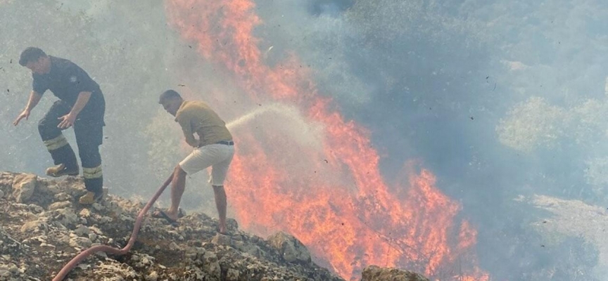 Bodrum'da makilik alanda yangın