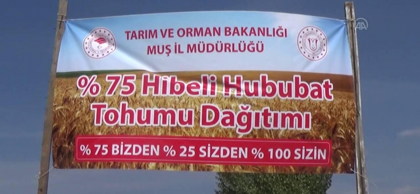 320 çiftçiye 645 ton hububat tohumu dağıtıldı