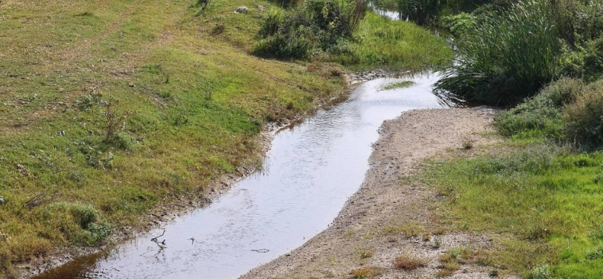 Balık ölümleri görülen Hasanağa Deresi'nden numune alındı