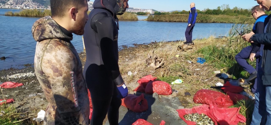 Kocaeli'de kaçak midye avcılığı yapan 5 kişi yakalandı