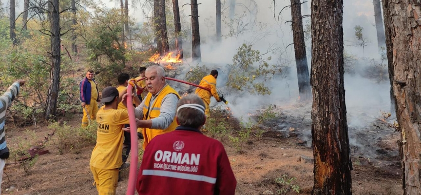 Burdur'da orman yangını