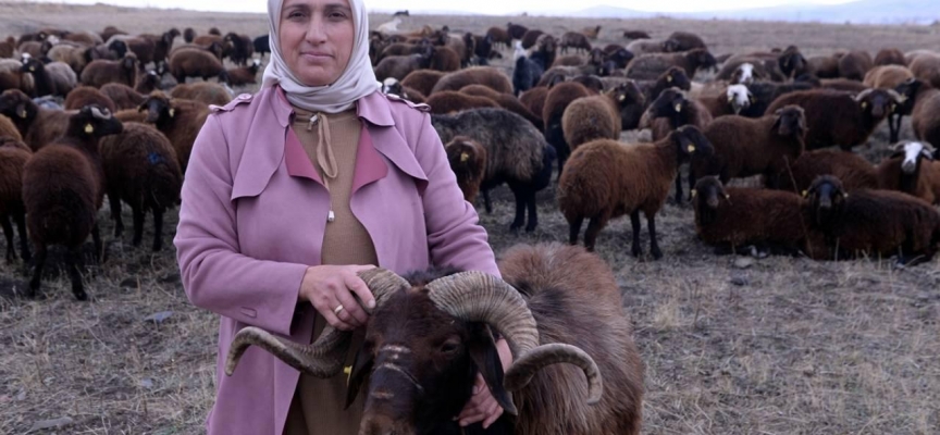 "Bir 'Sürü' Nedenim Var" projesiyle hayvanlarını artırdılar