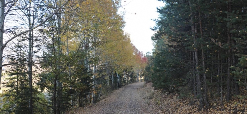 Erzincan'da sonbahar