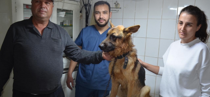 2,5 aydır kayıp köpeği mikroçip sayesinde buldular