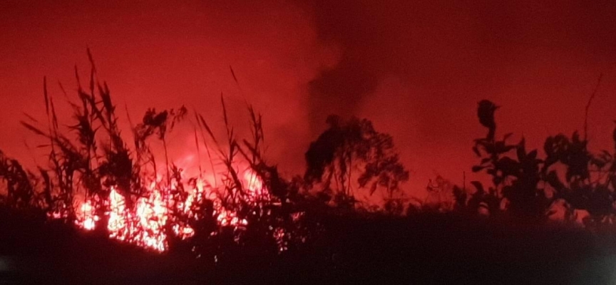 Hatay'da zeytinlik ve kamışlık alanda yangın