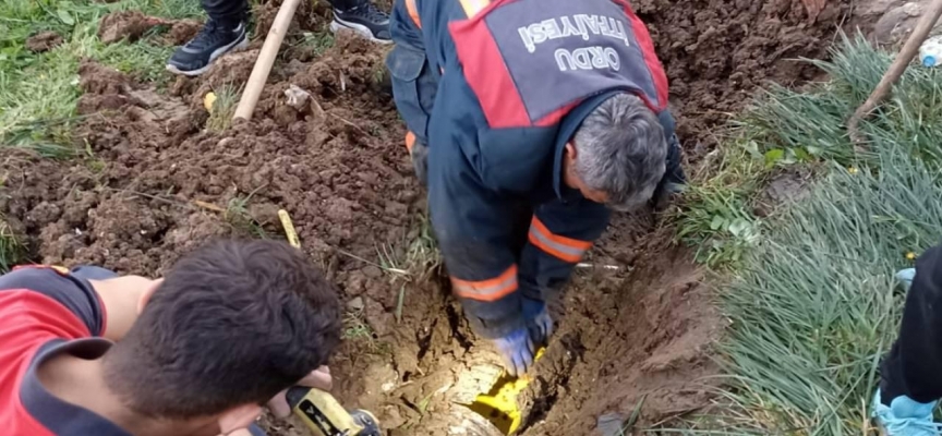 Yağmur suyu borusunda mahsur kalan kedi kurtarıldı