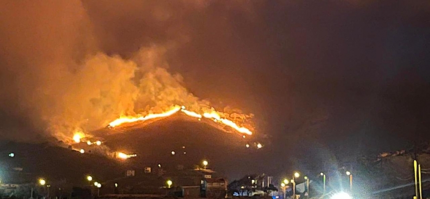 Gökçeada'da otluk alanda yangın