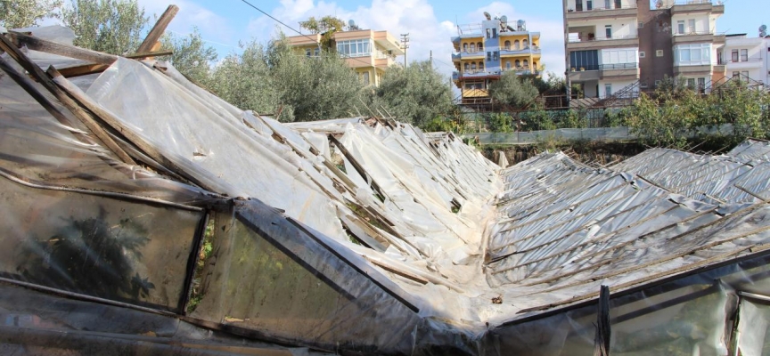 Alanya'da sağanak ve dolu: Seralar hasar gördü