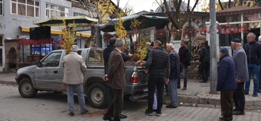 Bingöl’de vatandaşlara 300 adet kayısı fidesi dağıtıldı