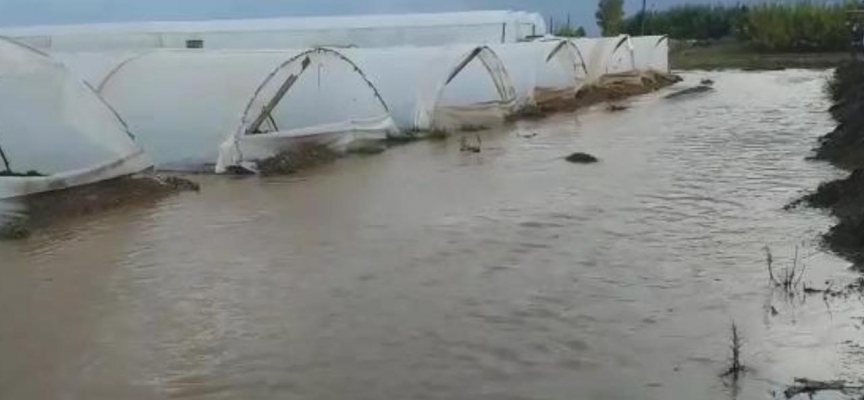 Antalya'da çilek seralarını su bastı