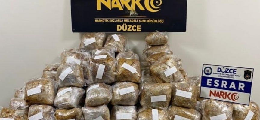 Düzce'de kargo aracındaki valizlerde 65 kilogram esrar ele geçirildi