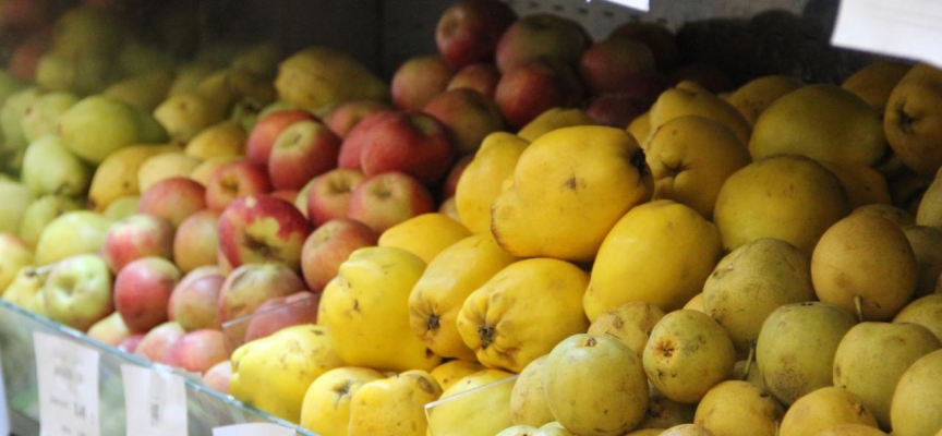 Kasımda 354,9 milyon dolarlık yaş meyve sebze ihraç edildi