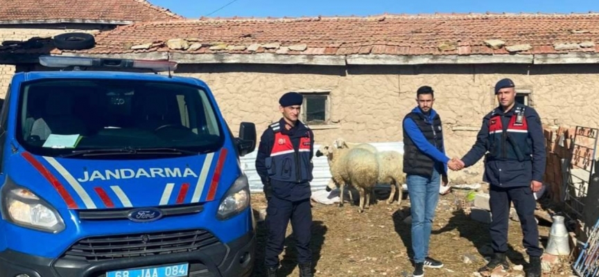 Aksaray'da kayıp koyunları jandarma drone ile buldu