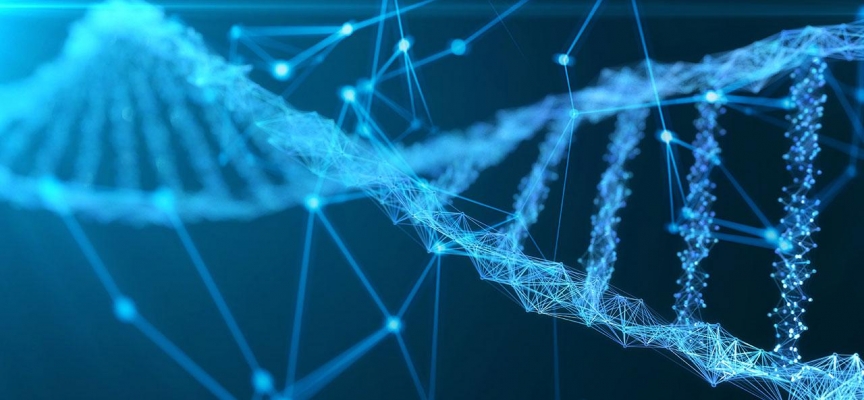 'Kutunun içindeki çocuğun' kimliği 65 yıl sonra DNA teknolojisi ile bulundu