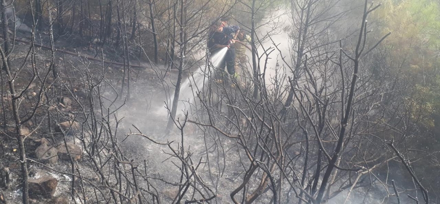 Osmaniye'de çıkan orman yangınında 2 dekarlık alan zarar gördü