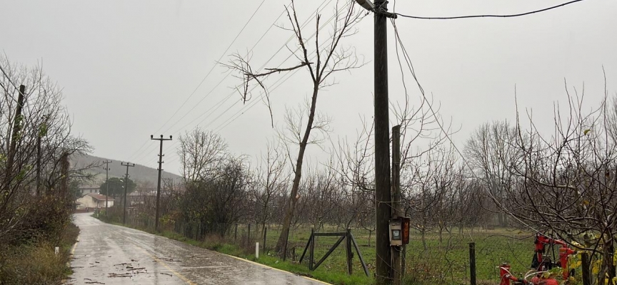 Çanakkale'de fırtınanın devirdiği ağaç enerji hattına zarar verdi