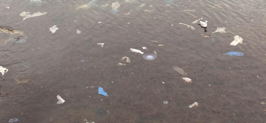 Kadıköy’ü lodos vurdu: Caddebostan sahilini plastik atıklar kapladı