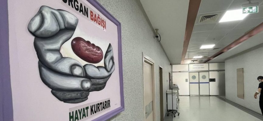 Organ nakli çalışmaları için Akdeniz Üniversitesi'nde "bilim vadisi" kurulacak