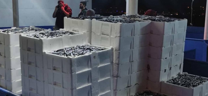 Kastamonu'da balıkçılar 100 ton hamsi yakaladı