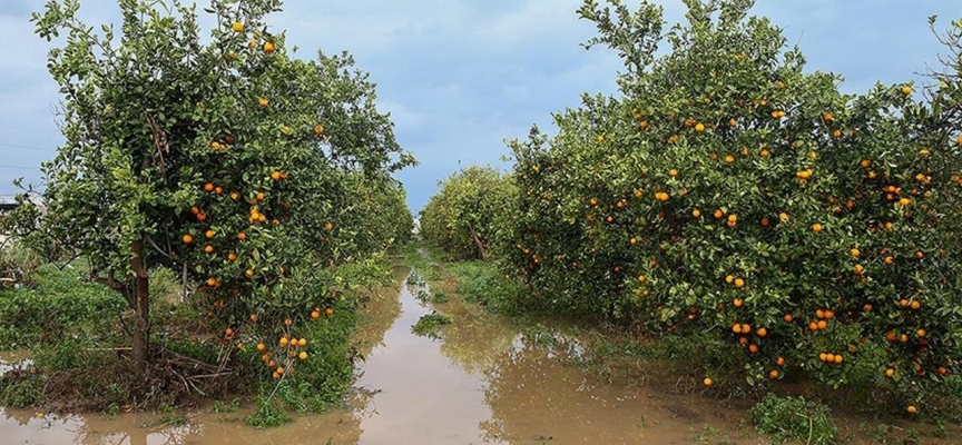 Antalya'da yılın ne yüksek yağış değeri Finike'de ölçüldü