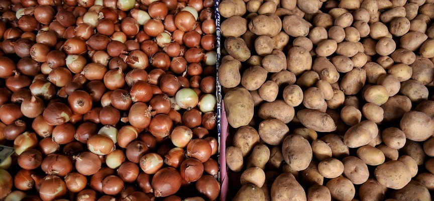 Dondurulmuş soğan ve patates ihracatı kayda bağlandı