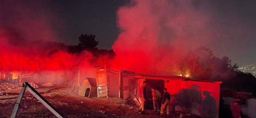 İzmir'de ormanlık alanda yangın: 4 baraka kullanılamaz hale geldi