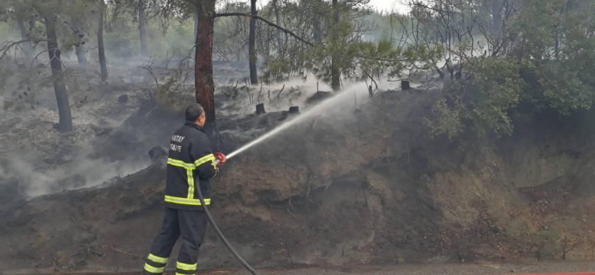 Hatay'daki orman yangını kontrol altına alındı