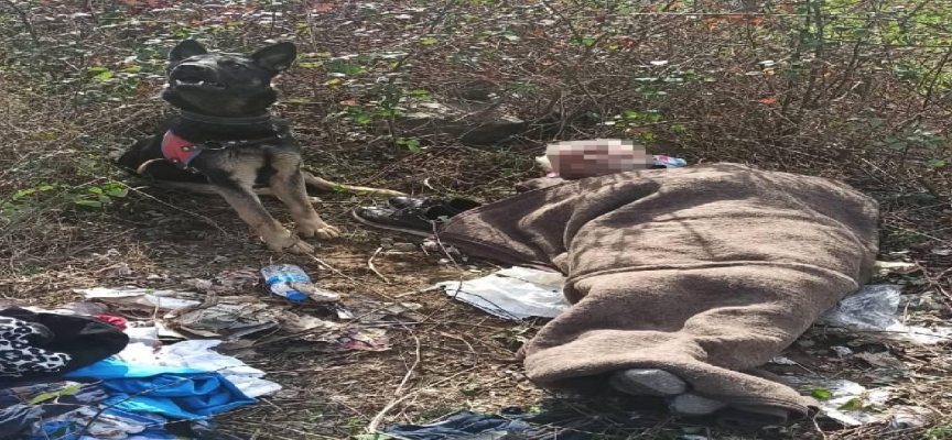 Samsun'da kayıp kişi iz takip köpeğinin yardımıyla bulundu