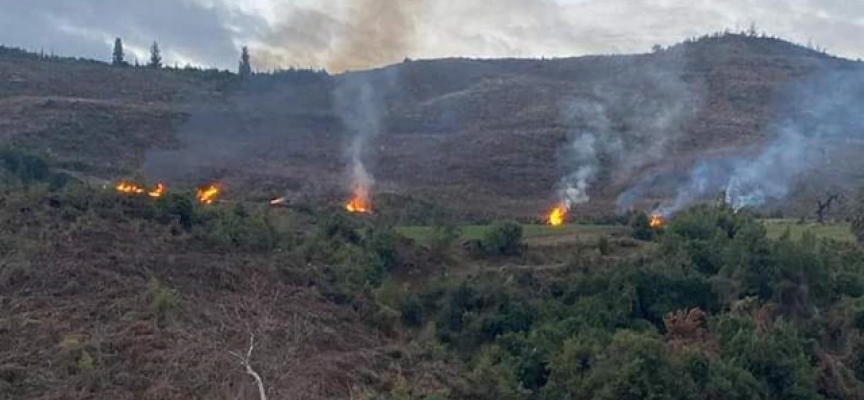 Kahramanmaraş'ta ormanı 17 yerden yaktığı iddiasıyla gözaltına alındı