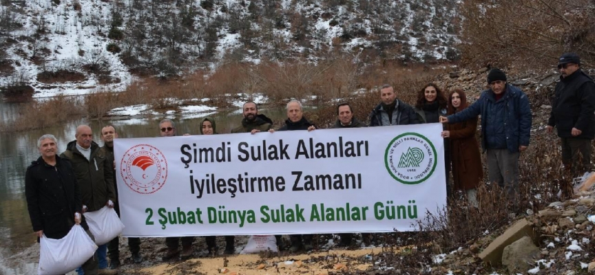 Su kuşları için Uzunçayır Baraj Gölü kıyısına yem bırakıldı