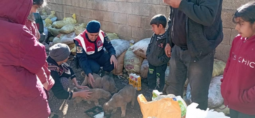 Bingöl'de jandarma ekiplerinden depremzedelere yardım