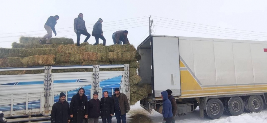 Ağrılı besici deprem bölgesine hayvanlar için bir tır ot gönderdi