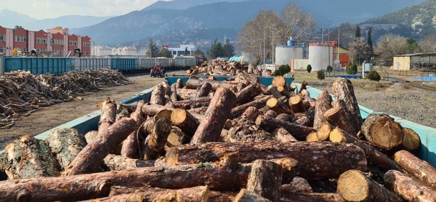 Deprem bölgesi için toplanan odunlar trenle gönderilecek