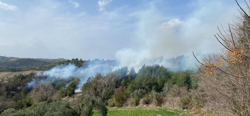 Osmaniye'de ormanlık alanda yangın