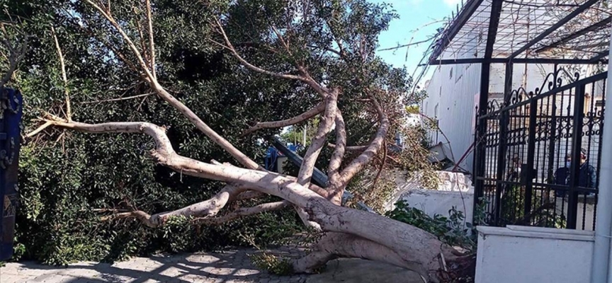 Meteoroloji uyardı: Deprem bölgesindeki illerde fırtına bekleniyor