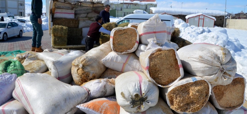 Gaziantep'te depremzede çiftçilere 2 bin ton yem desteği