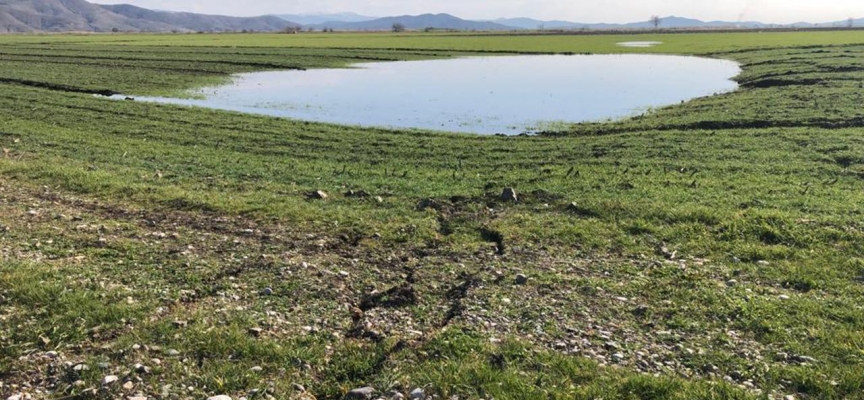 Deprem bölgesindeki yüzey kırıkları üzerinde su birikintileri oluştu