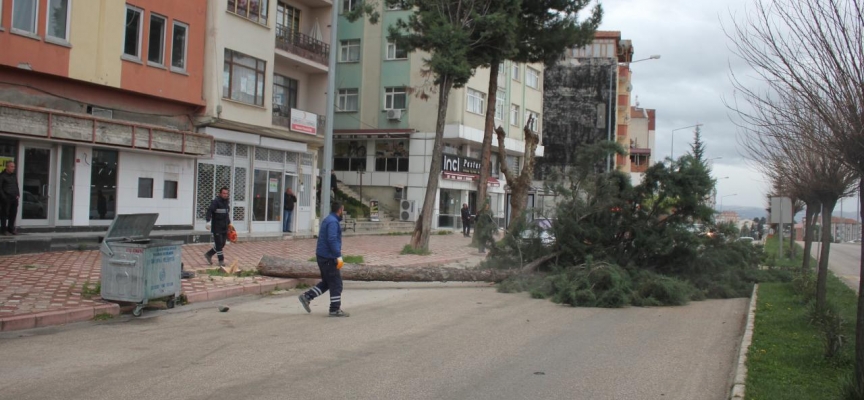 Amasya'da şiddetli fırtına etkili oldu