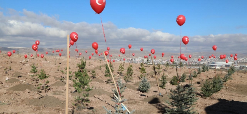 Sivas'ta ormanlık alan 20 yılda yüzde 30 arttı