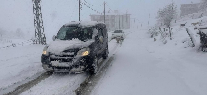 Giresun ve Rize'nin yüksek kesimlerinde kar yağışı etkili oluyor