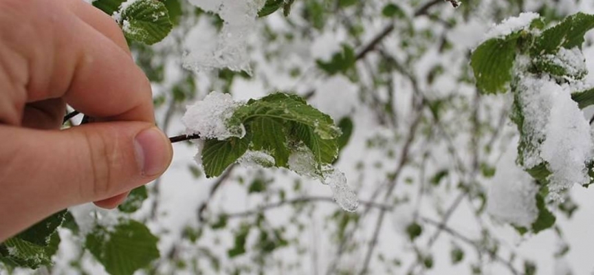 Meteoroloji'den Siirt'e "zirai don" uyarısı