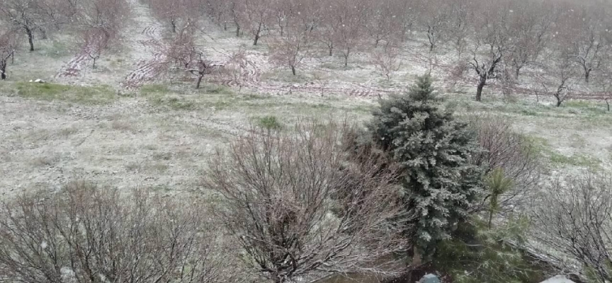 Malatya'da kar yağışı etkili oldu