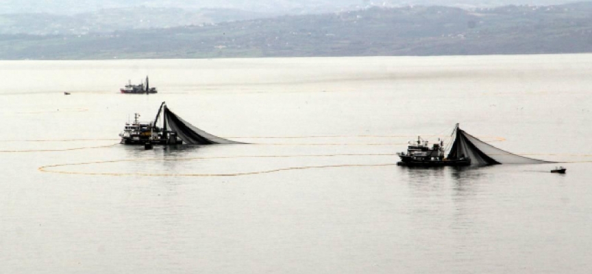 Sinop'ta balıkçılar sezondan memnun