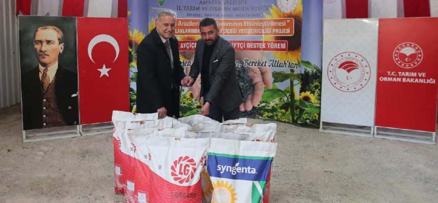 Amasya'da çiftçilere ayçiçeği tohumu dağıtıldı